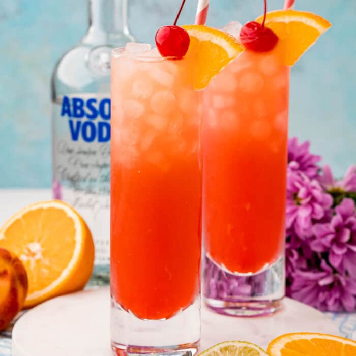 square image of sex on the beach cocktails next to a bottle of vodka