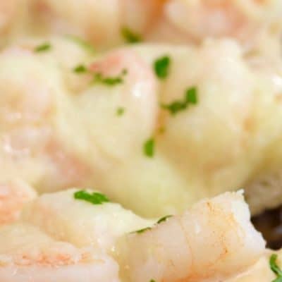 This SHRIMP ALFREDO FRENCH BREAD PIZZA is a seriously easy, seriously delicious dinner that doubles as a great appetizer!