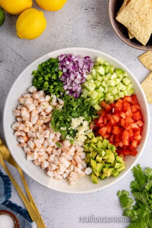 prepped shrimp ceviche arranged in sections in a serving bowl before mixing