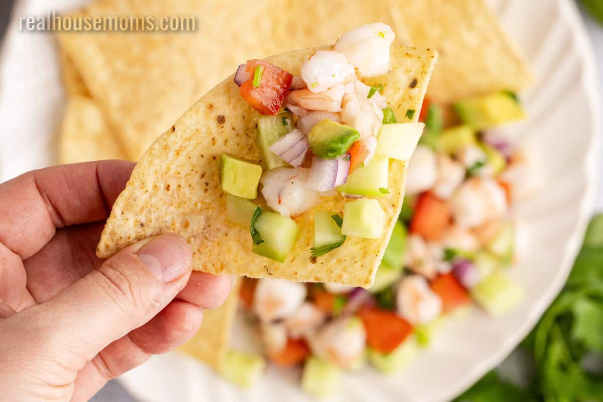 close up of a hand holding a tortilla chip with shrimp ceviche