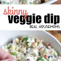 Skinny Veggie Dip is full of summer vegetables and so delicious! It's a perfect poolside snack for summer!