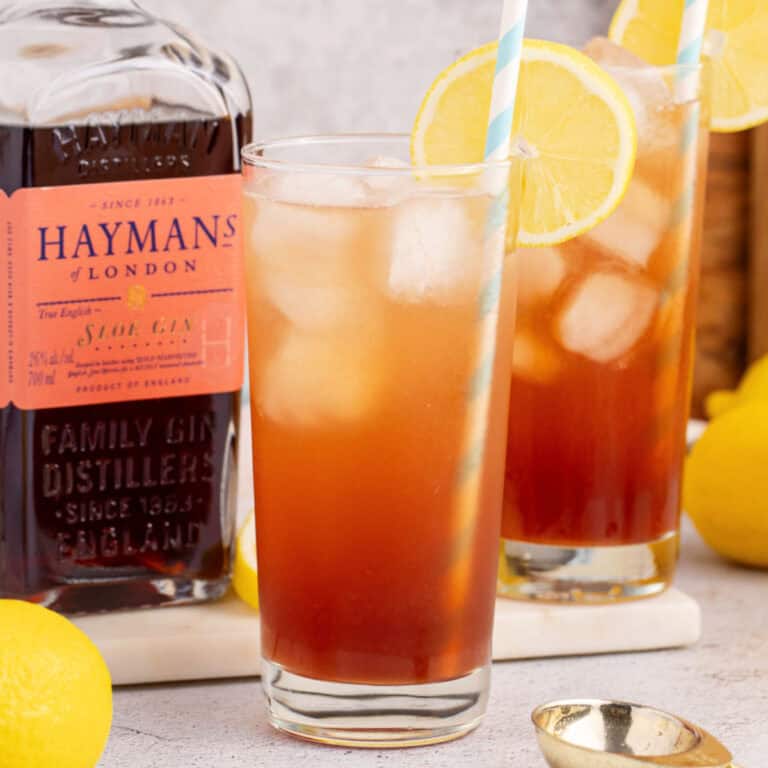 square image of two sloe gin fizz cocktails