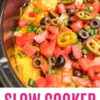 Crock Pot Seven Layer Dip - Funny Is Family