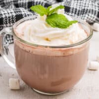 square image of slow cooker andes mint hot chocolate in a mug with whipped cream and a mint sprig