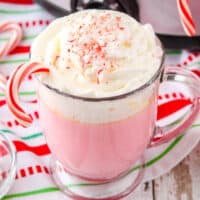 square image of slow cooker candy can white hot chocolate in a mug with whipped cream