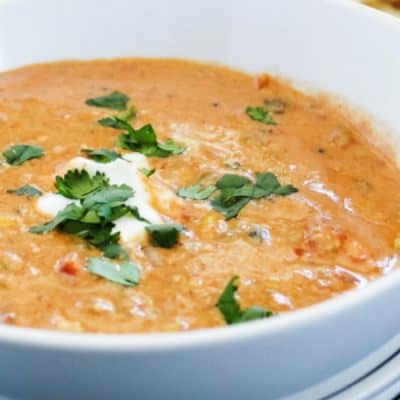 SLOW COOKER CHICKEN CHILI DIP a cheesy chili dip with all the flavors of a fiesta right in your mouth. This recipe makes a large batch, so it's a great dish to serve for your next party!
