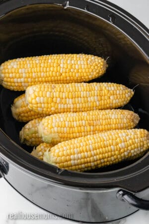 ears of corn in a crock pot with water