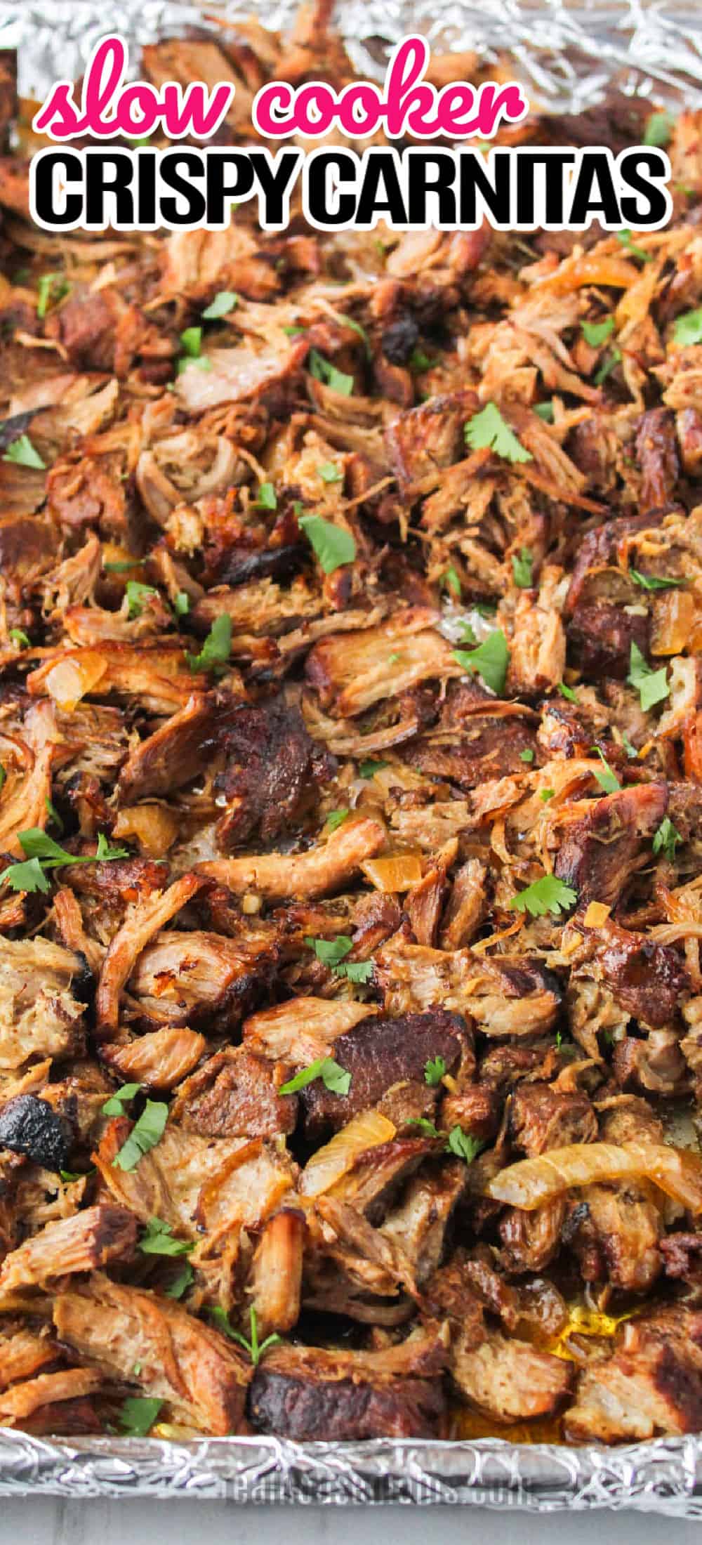 Slow Cooker Crispy Carnitas ⋆ Real Housemoms