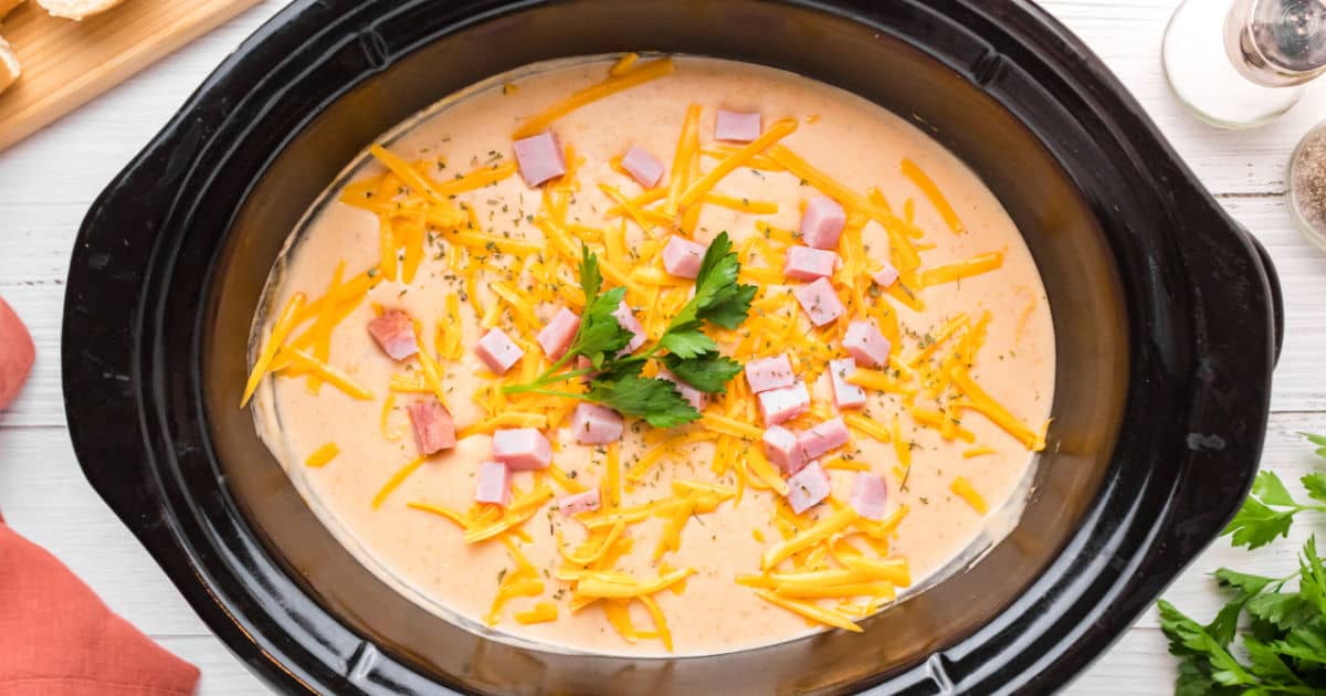 Slow Cooker Ham and Potato Cheese Soup