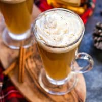 This Slow Cooker Hot Buttered Rum is a classic holiday drink you can mix in a crock pot in minutes and let it simmer all day long!