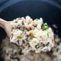 I cannot get over how easy this Slow Cooker Mushroom & Wild Rice Pilaf is! It's perfect for potlucks and holiday gatherings!