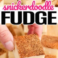 top picture of snickerdoodle fudge square piled on a wooden board, bottom picture is a hand holding one of the snickerdoodle fudge. In the middle of the two pictures is the title of the post in pink and black lettering