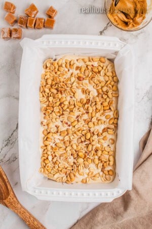 peanuts pressed into nougat-style cheesecake layered in a baking dish