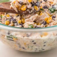 spoonful of southwest chicken salad over the bowl with recipe name at the bottom