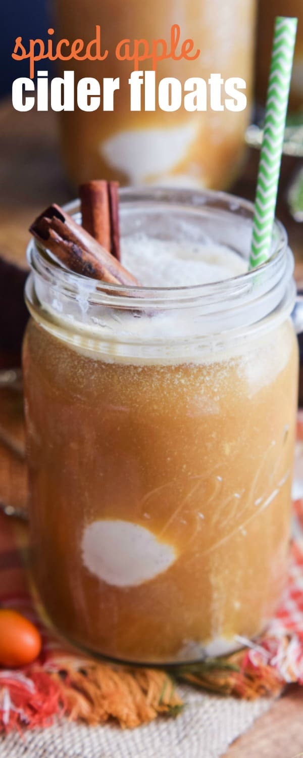 These SPICED APPLE CIDER FLOATS have all of the flavors of fall poured over vanilla ice cream!