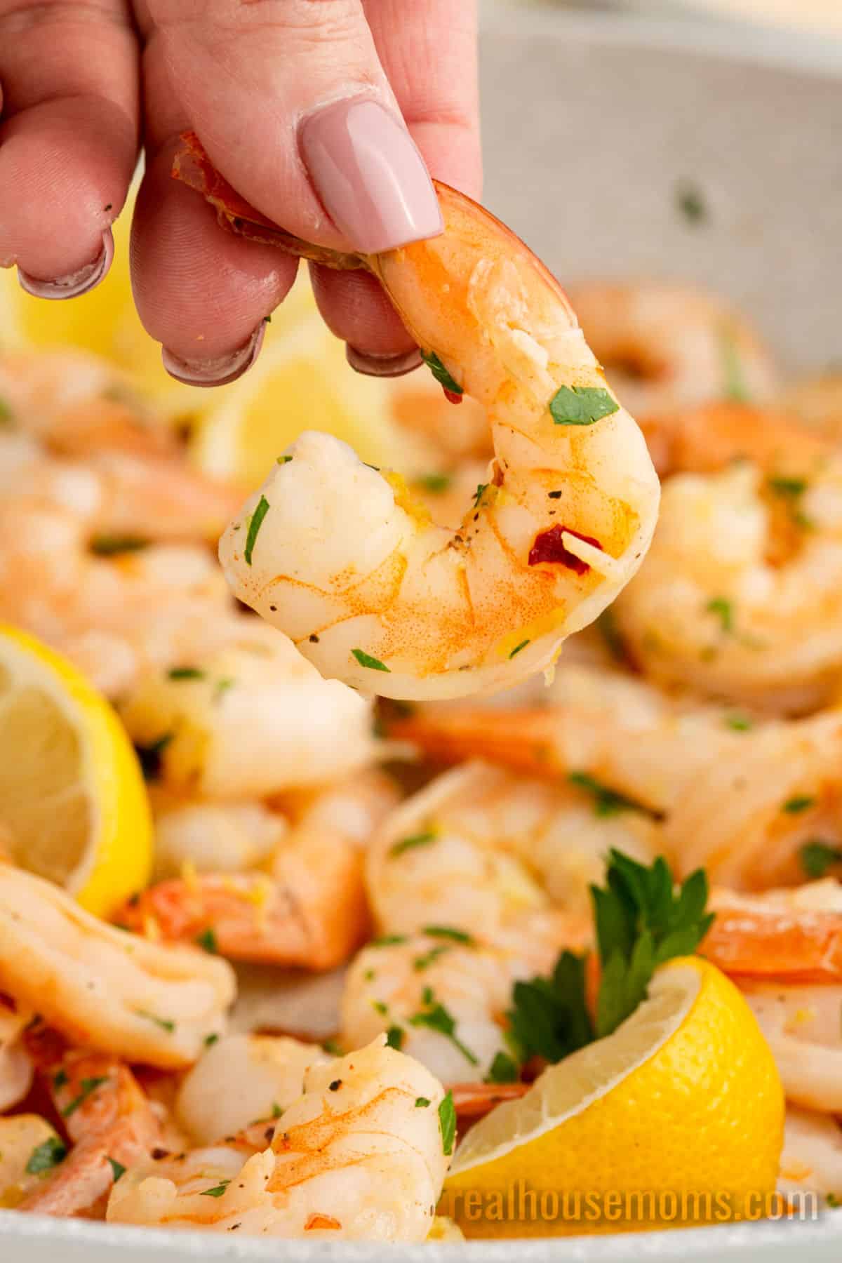 Pan Seared Shrimp Recipe: a Buttery, Spicy, Delicious Dish