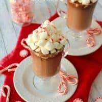 A creamy, delicious Spiked Peppermint Hot Chocolate is the perfect way to get the holidays started! Pair it with peppermint schnapps for even more holiday cheer!
