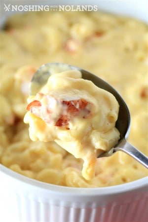 stovetop-lobster-macaroni-and-cheese-by-noshing-with-the-nolands-4-custom-custom