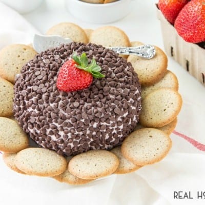 Be the hit of the party with this pretty in pink STRAWBERRY CHEESECAKE BALL! It is super easy with only 5 ingredients!
