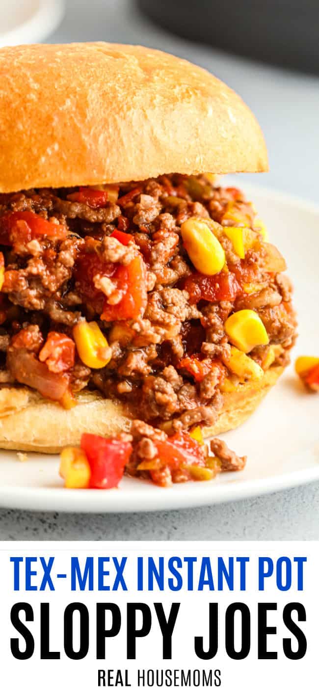 close up of tex mex sloppy joes with text