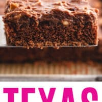texas sheet cake on a spatula above the pan with recipe name at bottom