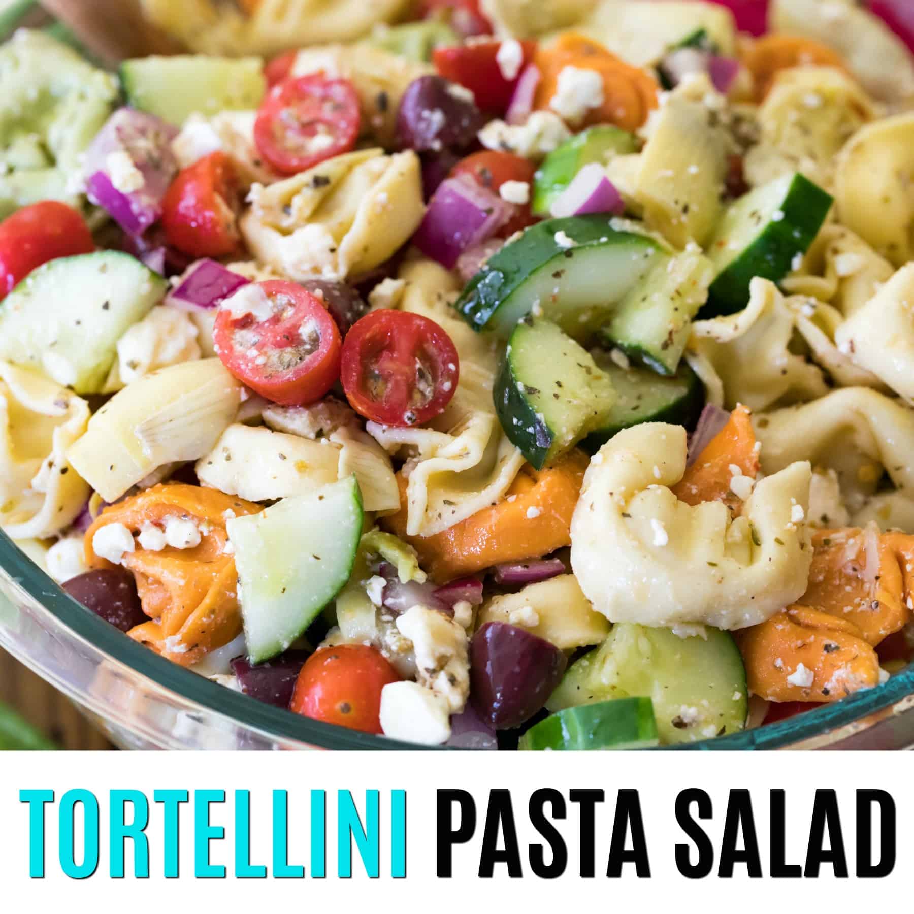 Tortellini Pasta Salad ⋆ Real Housemoms