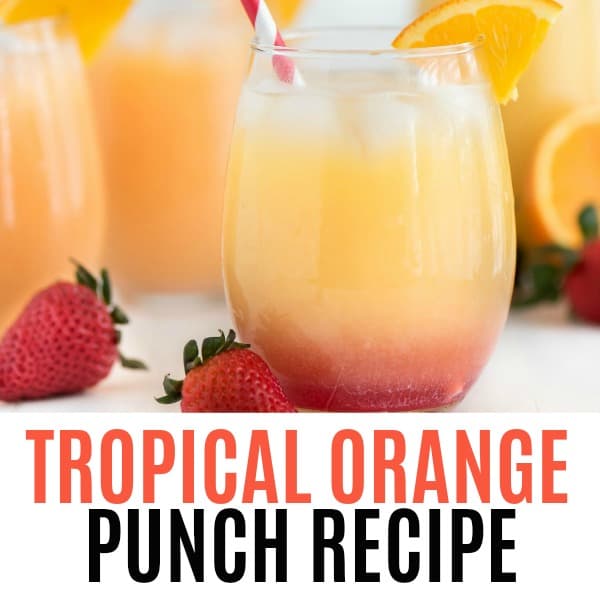 Tropical Orange Punch is the ultimate refreshing summer drink! Cool down at your summer parties with a glass of this delicious citrus drink!