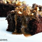 This TURTLE POKE CAKE is a rich chocolate cake soaked in caramel sauce, and covered in chocolate frosting, pecans & more caramel!