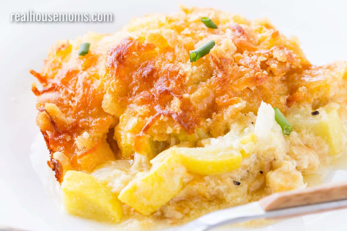 portion of yellow squash casserole on a white plate