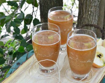 Celebrate the return of Spring and Summer with this Frozen Apple Daiquiri Recipe! A unique twist on a favorite summertime cocktail. 
