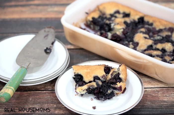Sweet batter topped with vibrant blueberries make this easy BLUEBERRY COBBLER perfect for any brunch, or top it with a scoop of vanilla ice cream for a delicious dessert!