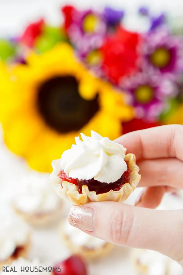 Homemade Cherry Mini Pies have everything I look for in a recipe: deliciousness, simplicity, versatility, and of course, sugar! These tasty little treats are the perfect pint-sized dessert to enjoy this summer. 