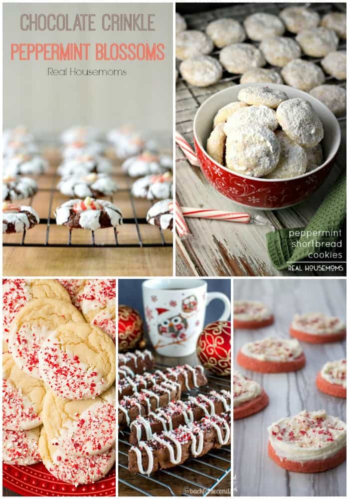When the weather gets cold, I love to fill my house with mint flavored treats! These 25 Peppermint Recipes Perfect for the Holidays are a refreshing burst of flavor that'll leave you wanting more!